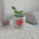 Apartman Dalija - Cosy & & Massage