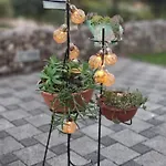 Apartman Dalija - Cosy & & Massage