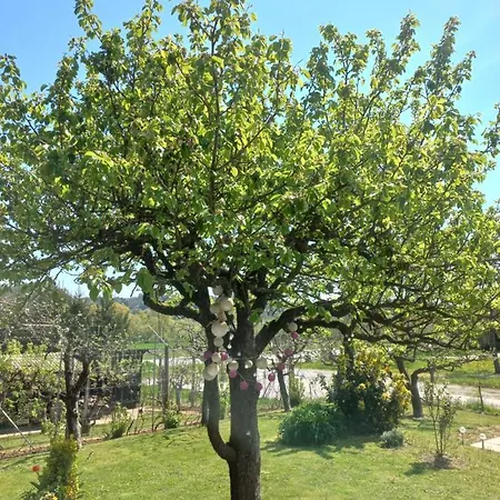 & Wellness Dalija With Massages * Podčetrtek