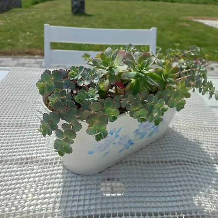 & Wellness Dalija With Massages Apartamento Podčetrtek