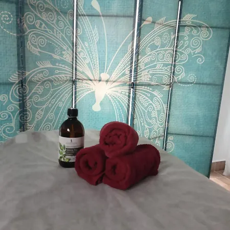 & Wellness Dalija With Massages Apartmán *