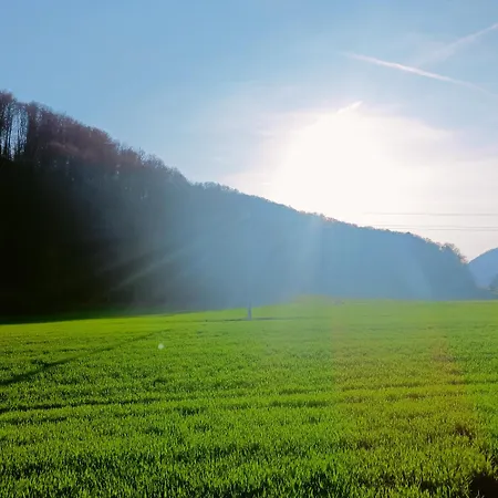 Apartman Apartment Dalija - Cosy Apartment & Rooms With Massage Studio *