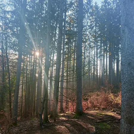 Apartment Dalija - Cosy Apartment & Rooms With Massage Studio *