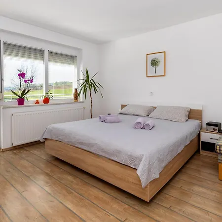 Apartment Dalija - Cosy Apartment & Rooms With Massage Studio Podcetrtek