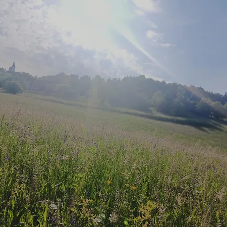 Apartment Dalija - Cosy Apartment & Rooms With Massage Studio Apartman