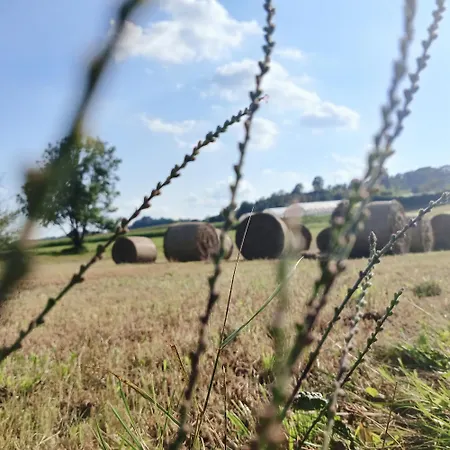 & Wellness Dalija With Massages Podčetrtek