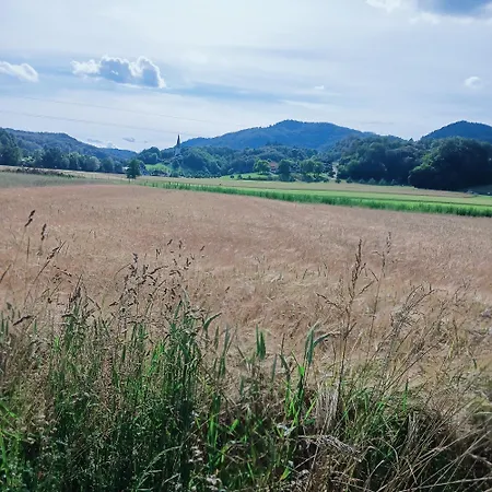 Apartment Dalija - Cosy Apartment & Rooms With Massage Studio