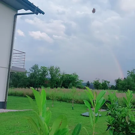 Apartment Dalija - Cosy Apartment & Rooms With Massage Studio Apartman *