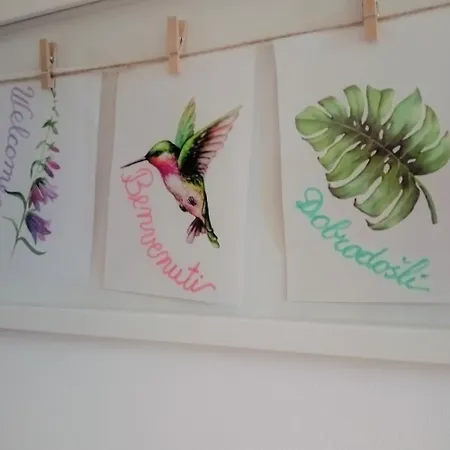 Apartment Dalija - Cosy Apartment & Rooms With Massage Studio *