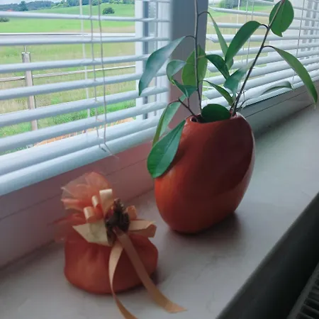 & Wellness Dalija With Massages Apartamento