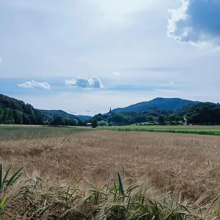 Apartment Dalija - Cosy Apartment & Rooms With Massage Studio *