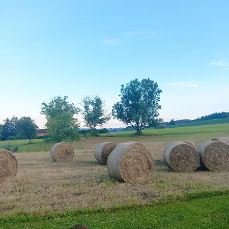 Apartment Dalija - Cosy Apartment & Rooms With Massage Studio