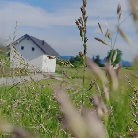 아파트 Dalija - Cosy & With Massage