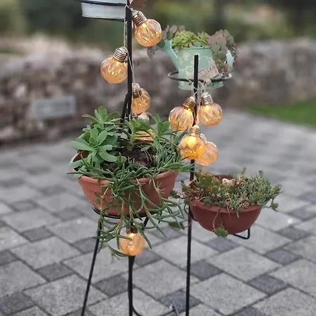 Apartamento & Wellness Dalija With Massages