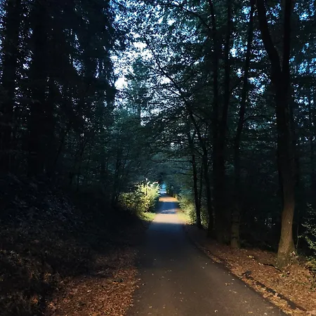 Apartment Dalija - Cosy Apartment & Rooms With Massage Studio Podcetrtek