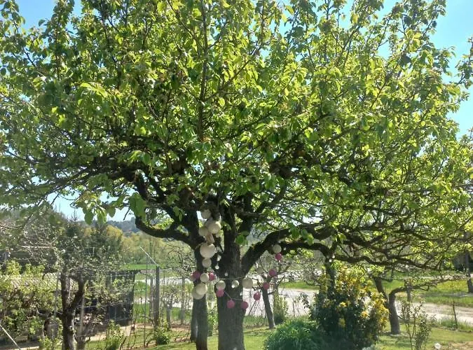 Dalija - Cosy & With Massage * Podčetrtek