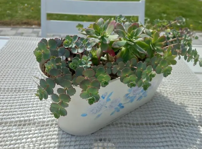 Dalija - Cosy & With Massage 아파트 포드체트르테크