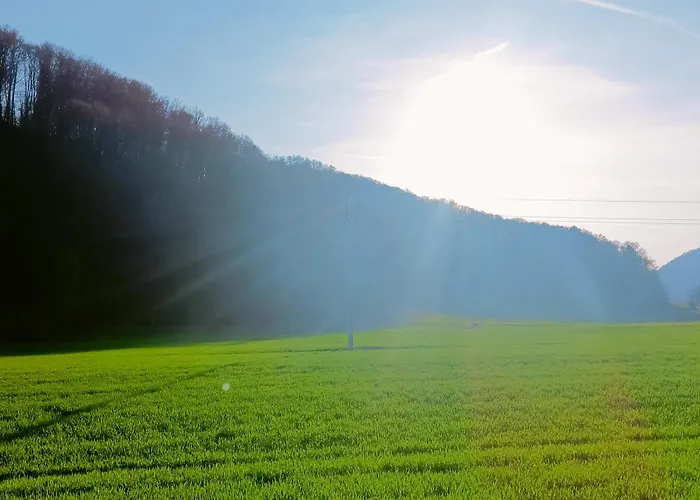 아파트 Dalija - Cosy & With Massage *