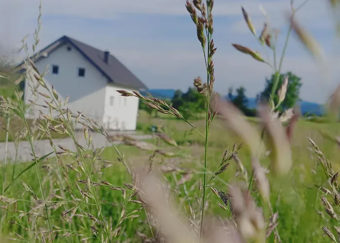 아파트 Dalija - Cosy & With Massage