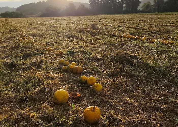 Dalija - Cosy & With Massage 포드체트르테크